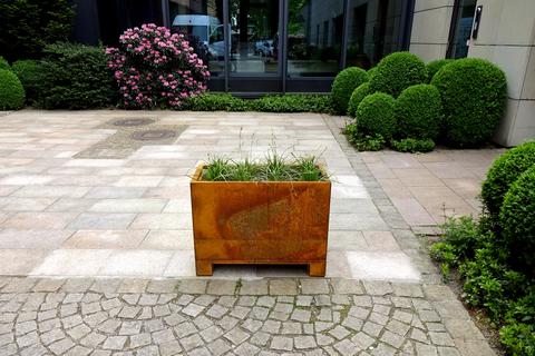 Gartenpflege in Bildern – Zimmern Garten- und Landschaftsbau GmbH
