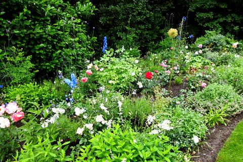 Gartenpflege in Bildern – Zimmern Garten- und Landschaftsbau GmbH
