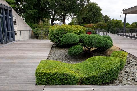 Gartenpflege in Bildern – Zimmern Garten- und Landschaftsbau GmbH