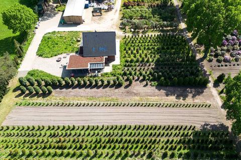 Baumschule in Bildern – Zimmern Garten- und Landschaftsbau GmbH