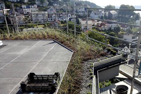 Gartenneubau in Bildern – Zimmern Garten- und Landschaftsbau GmbH