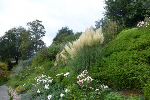 Gartenpflege in Bildern – Zimmern Garten- und Landschaftsbau GmbH