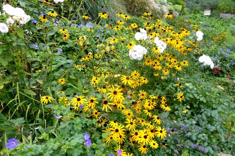 Gartenpflege in Bildern – Zimmern Garten- und Landschaftsbau GmbH